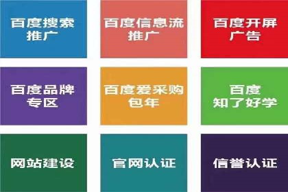 揭秘：成功SEM推广代运营公司案例解析